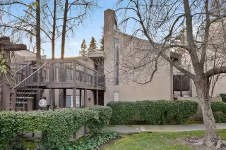 Photo #1: 226010534 Listing