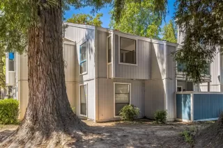 Photo #5: 226011453 Listing