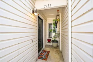 Photo #2: 226011946 Listing 