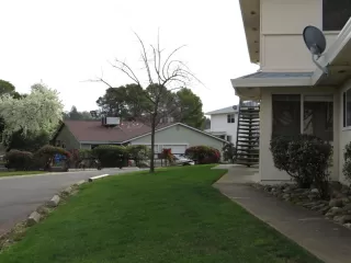 Photo #2: 226014524 Listing 