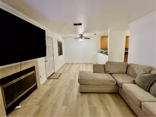 Photo #1: 226015761 Listing 