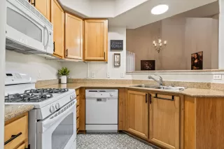 Photo #4: 226017186 Listing 