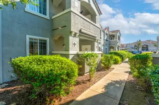 Photo #1: 226017825 Listing 