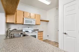 Photo #5: 226018182 Listing 