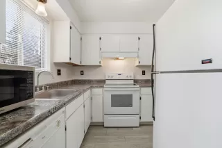 Photo #1: 226019757 Listing