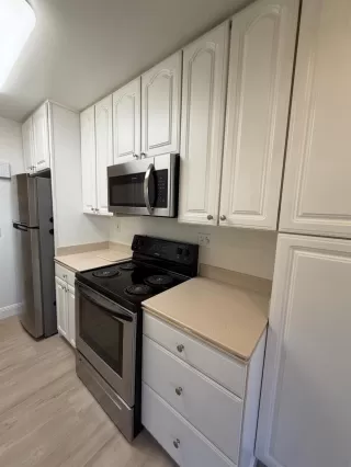 Photo #2: 226019806 Listing