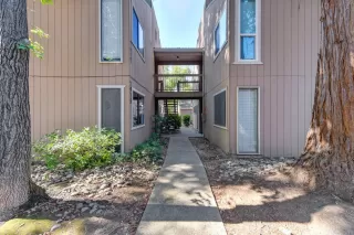 Photo #3: 226020059 Listing