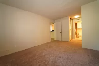 Photo #6: 226021735 Listing