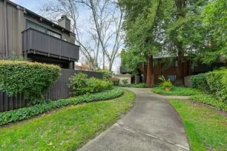 Photo #1: 226022801 Listing 