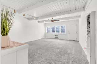 Photo #1: 226022989 Listing 