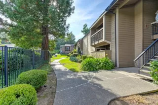 Photo #2: 226023745 Listing 