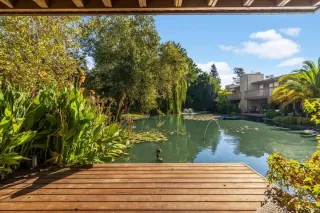 Photo #1: 226024189 Listing 