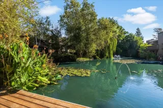 Photo #2: 226024189 Listing 