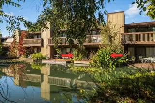 Photo #3: 226024189 Listing 