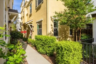 Photo #1: 226025885 Listing 