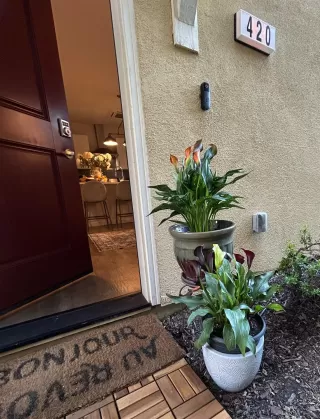 Photo #6: 226025885 Listing 