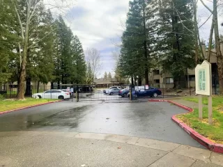 Photo #1: 226027078 Listing 