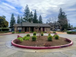 Photo #6: 226027078 Listing 