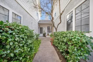 Photo #3: 226027412 Listing 