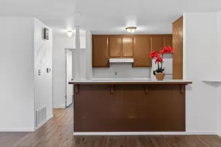 Photo #6: 226027955 Listing 