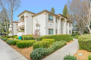 Photo #1: 226028455 Listing 