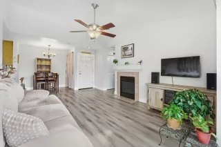 Photo #3: 226028455 Listing 