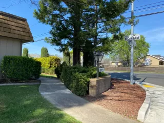 Photo #3: 226029194 Listing 