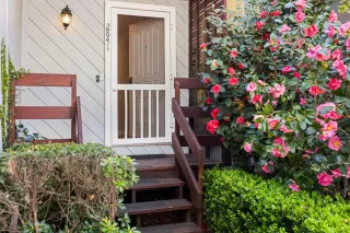 Photo #3: 226030462 Listing