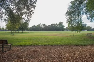 Photo #1: 226031085 Listing