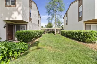 Photo #1: 226031098 Listing 