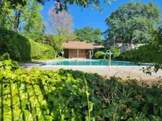 Photo #3: 226031173 Listing 