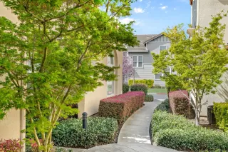 Photo #1: 226031617 Listing 