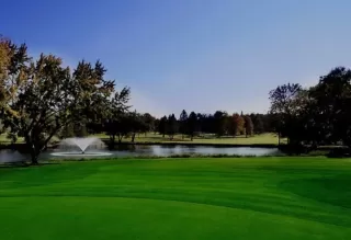 Photo #1: 226031817 Listing 