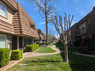 Photo #1: 226032174 Listing 