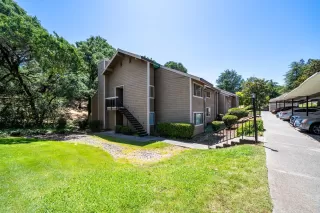 Photo #1: 226033405 Listing 