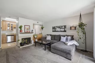 Photo #2: 226033539 Listing