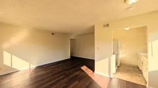 Photo #4: 226033649 Listing 