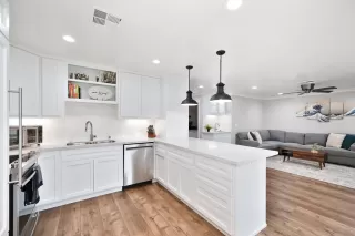 Photo #2: 226033746 Listing 