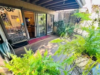 Photo #2: 226036889 Listing