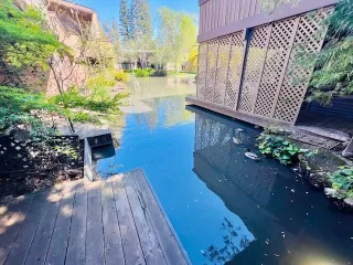 Photo #5: 226036889 Listing