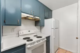 Photo #5: 226037123 Listing 