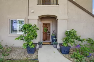 Photo #1: 226037234 Listing