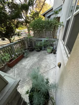 Photo #3: 226038398 Listing