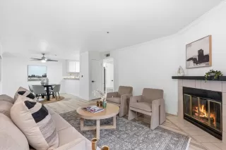 Photo #1: 226039606 Listing 