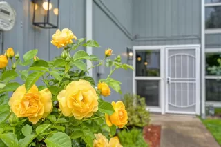 Photo #2: 226039921 Listing 