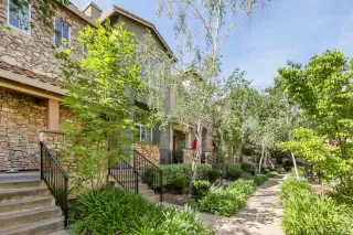 Photo #1: 226040503 Listing 