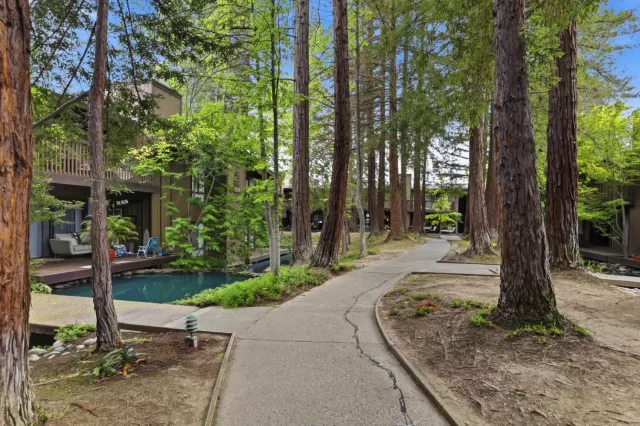 MLS: 226040839 Condo For Sale