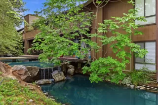 Photo #1: 226040839 Listing 