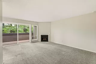 Photo #4: 226040839 Listing 