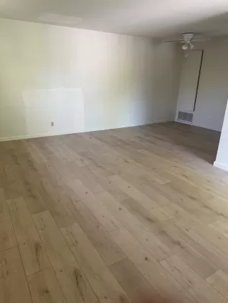 Photo #4: 226041329 Listing